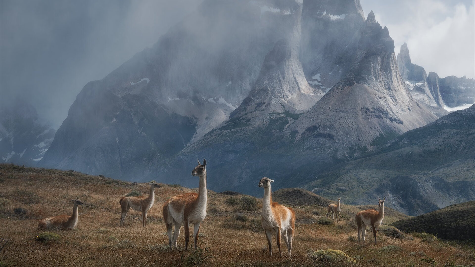 九游登录中心-_无边泳池派对：在水中畅享运动乐趣_，无边泳池在哪里