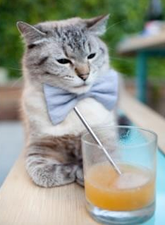 战绩对比：排名前十球队的优势分析，球队实力对比